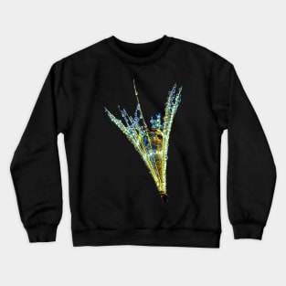 Dew drop - vibrant colors like a gem Crewneck Sweatshirt